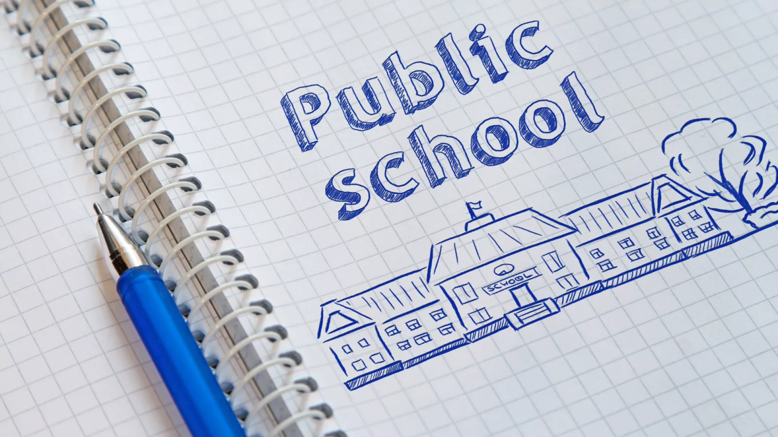 Public SchoolDrawing