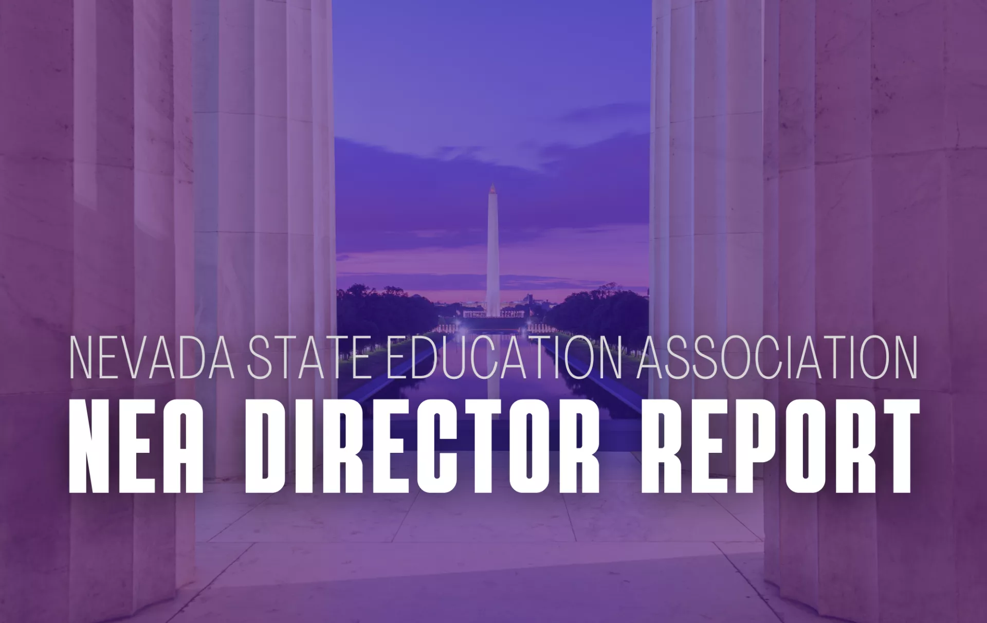 Director Report Graphic