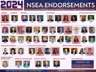 NSEA General Election Results